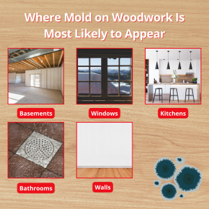 where mold on woodwork is likely to appear