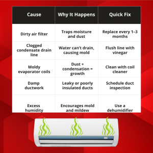 Causes of a musty ac unit smell