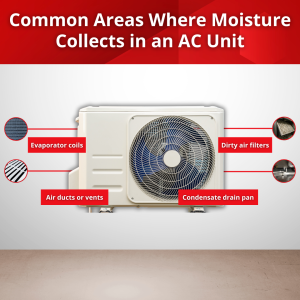 common areas where moisture collects in an ac unit