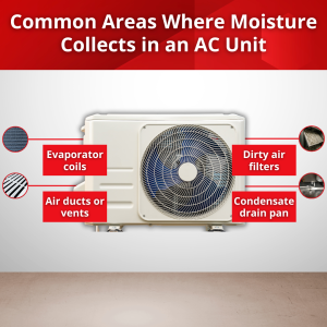 common areas where moisture collects in ac unit