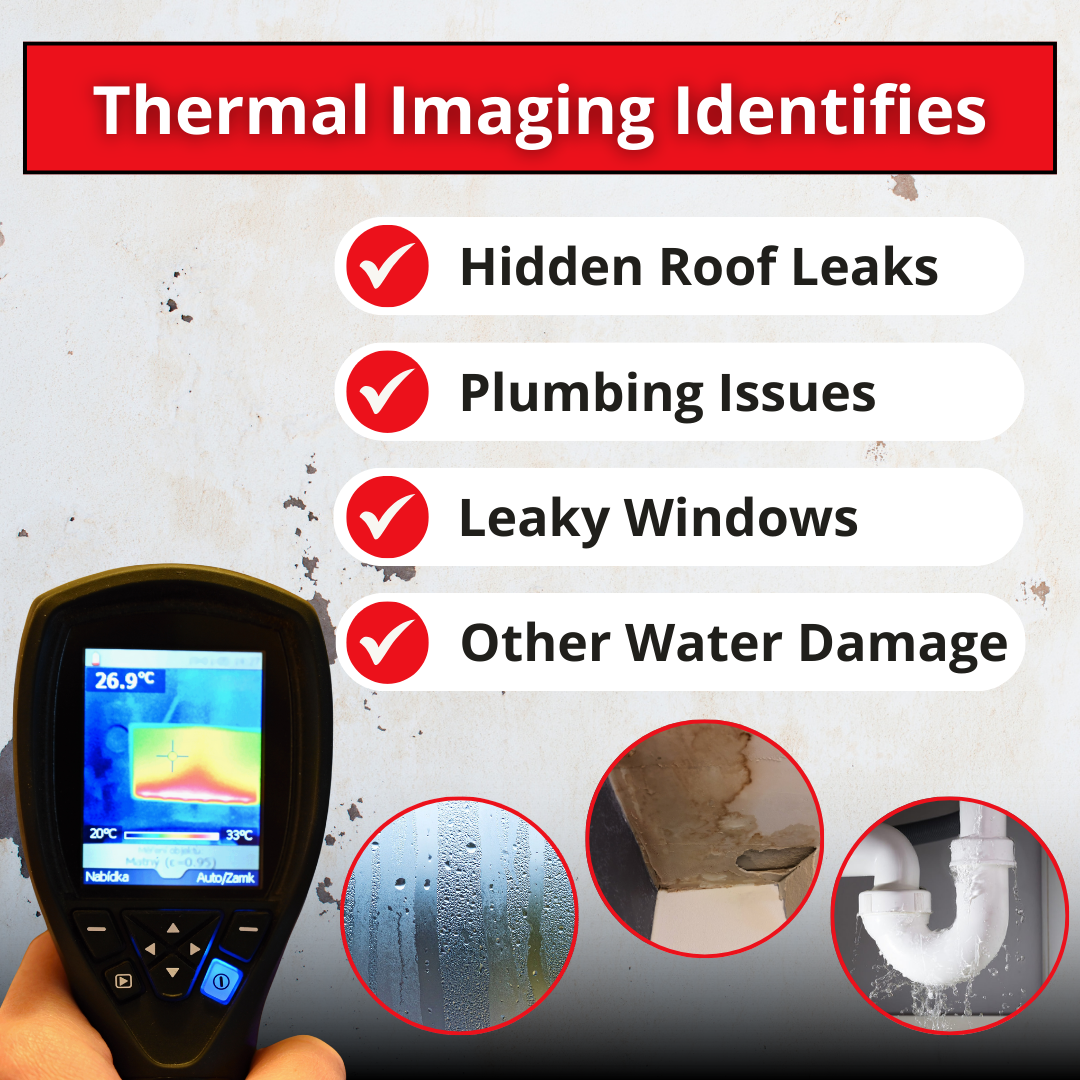 how thermal imaging helps spot drywall damage