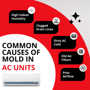 common causes of mold in ac units
