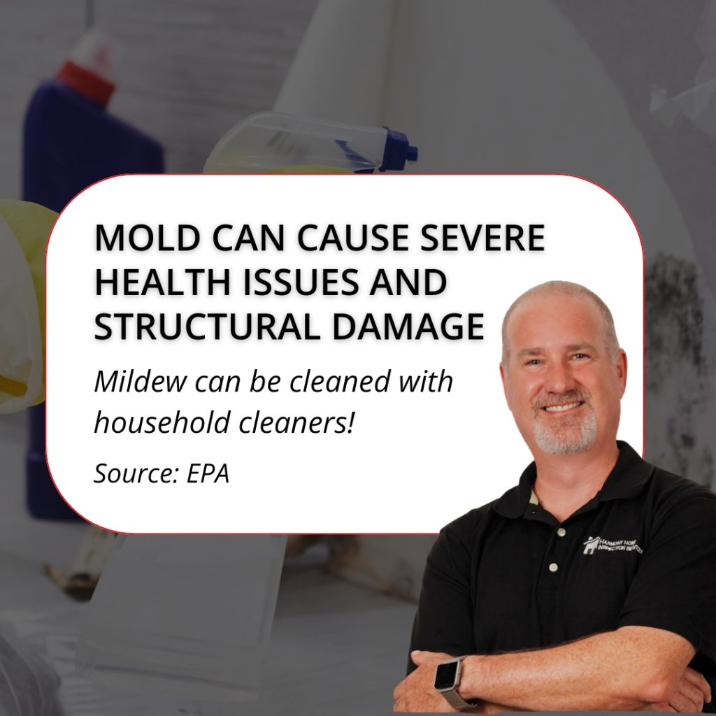 mold causes significant health and structural issues