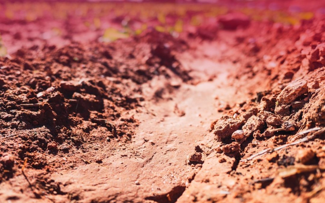 How Georgia Red Clay Affects Your Home’s Foundation and Drainage