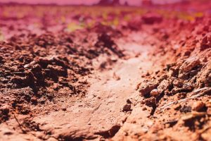georgia's famous red clay