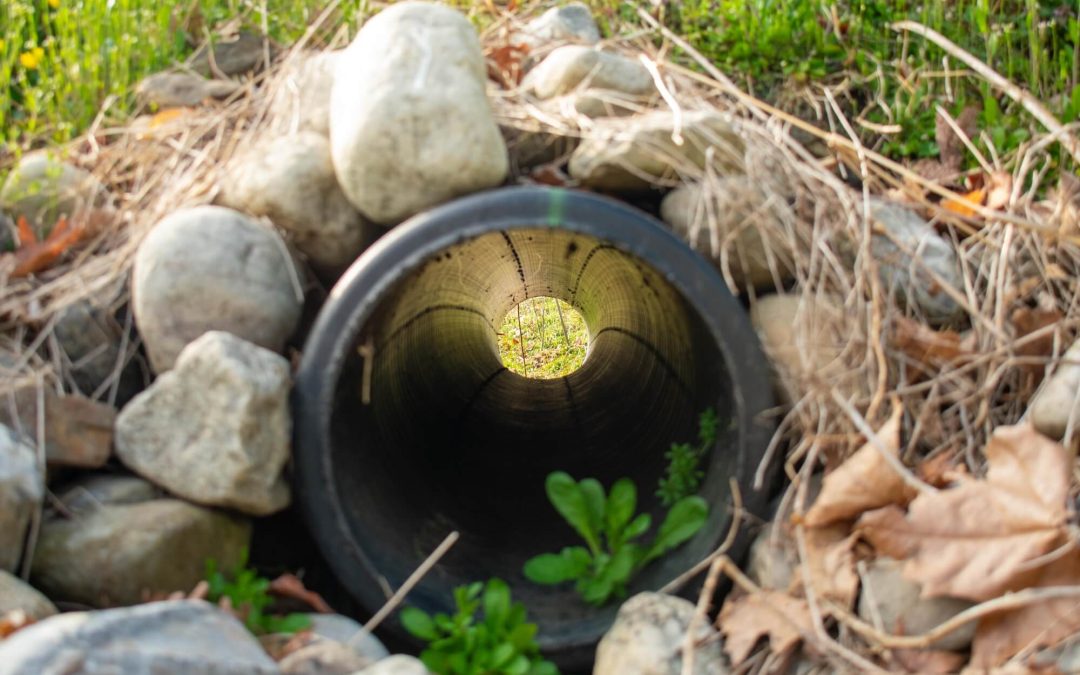 Stop the Standing Water: How to Improve Drainage on Your Property